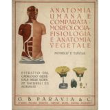 Anatomia umana e comparata – morfologia – fisiologia  e anatomia vegetale